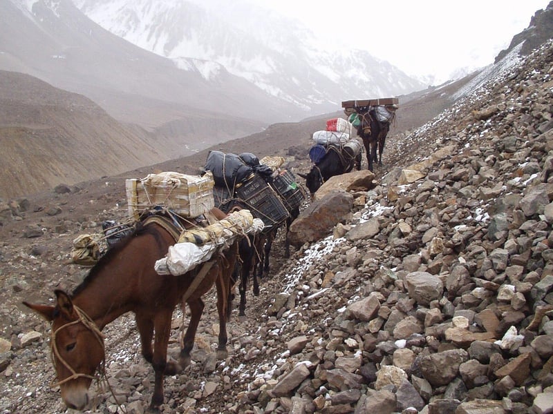 Chrono Expeditions